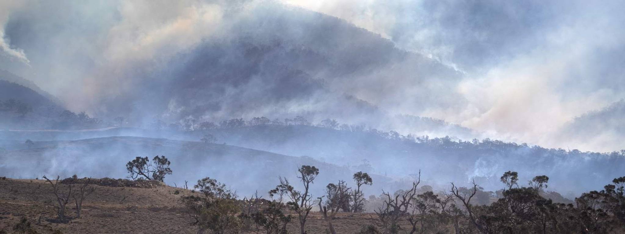 smoke over bush land