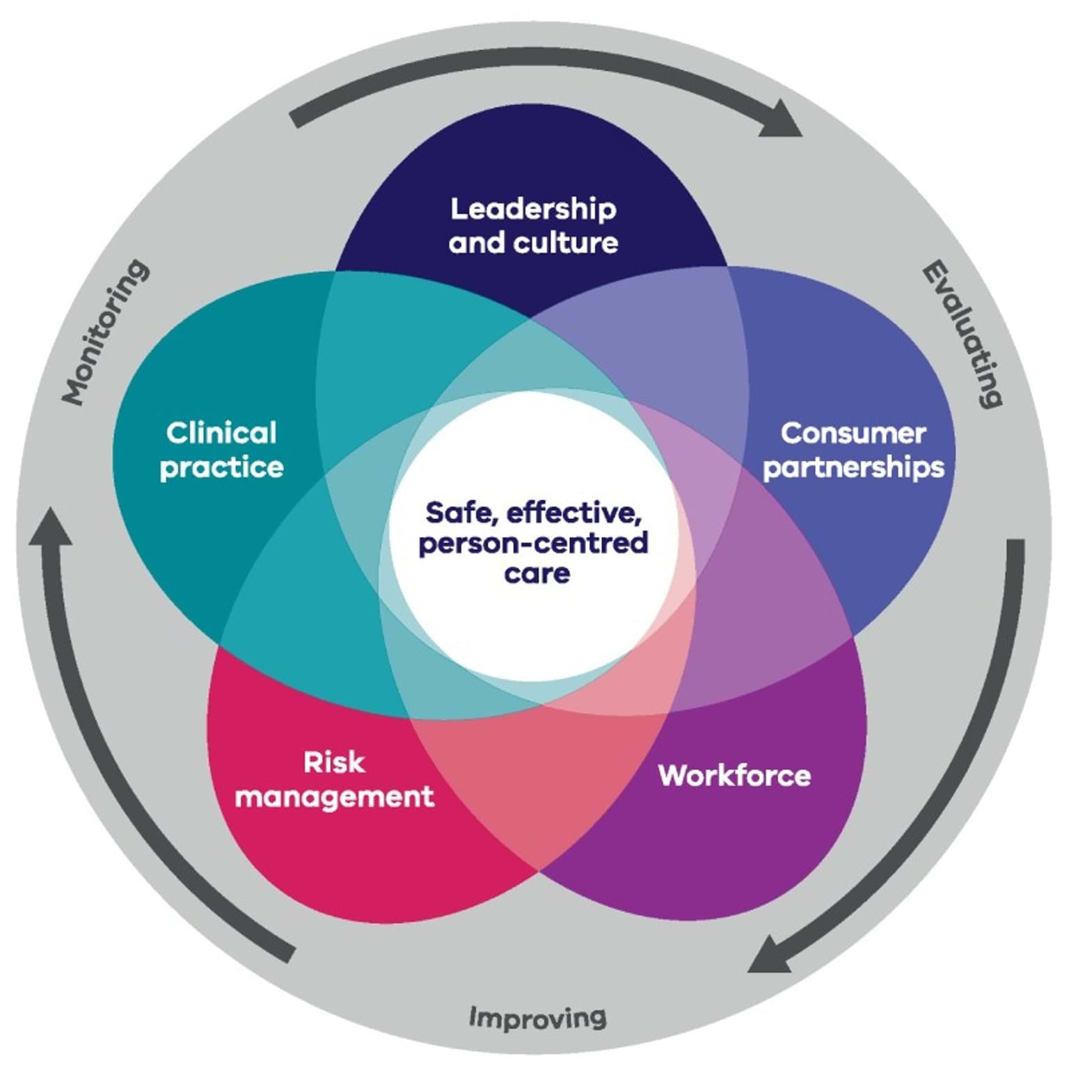 Five domains of clinical governance 