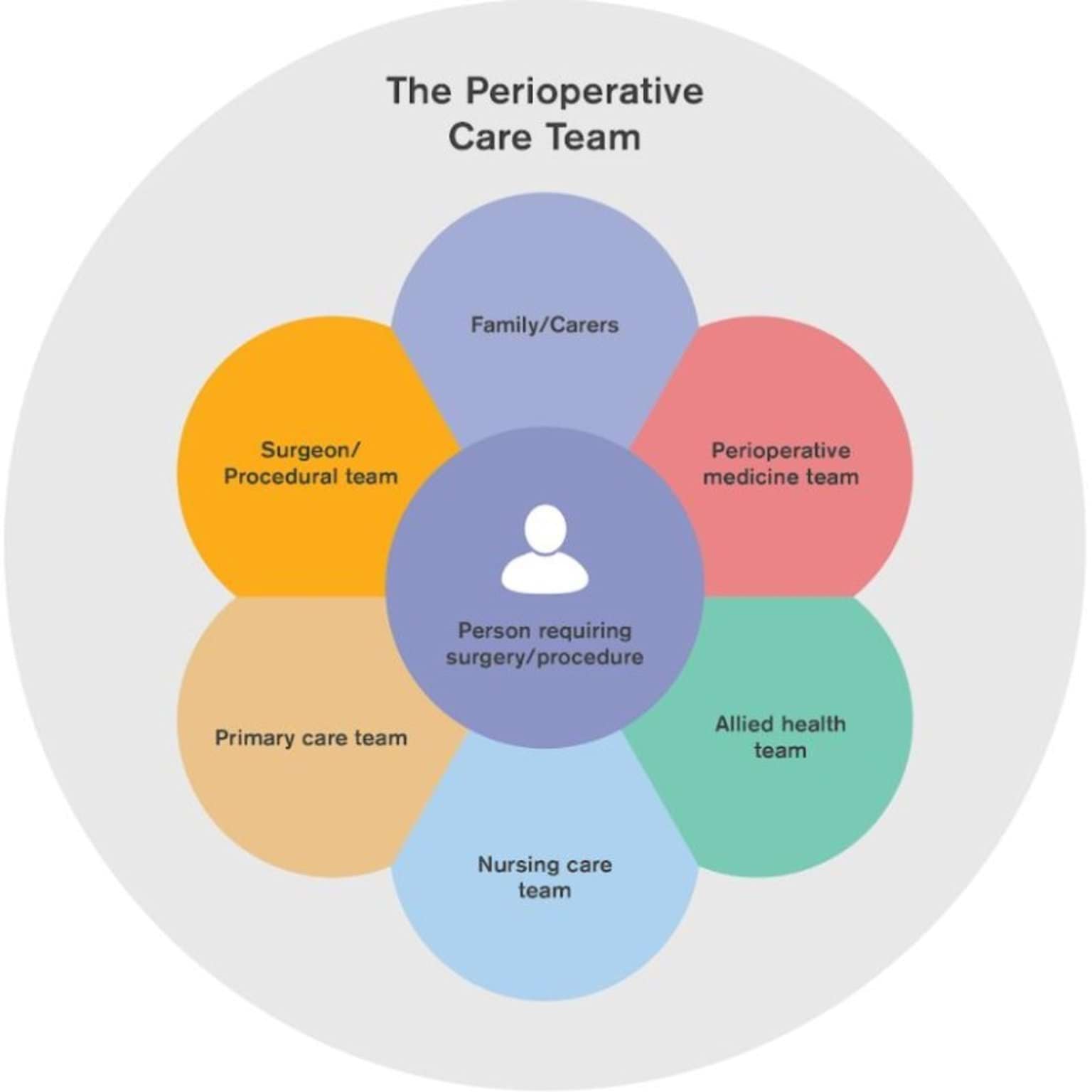 Figure 2: The perioperative care team (POCT) 