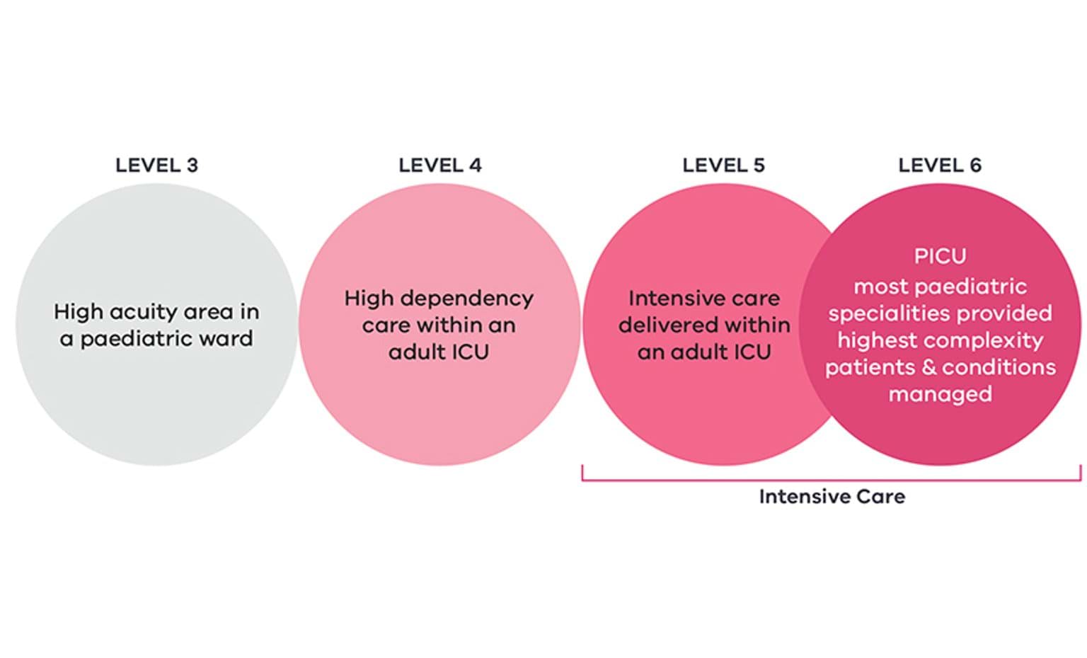 Paediatric critical care service tiers showing increasing capability from Level 3 to Level 6, with intensive care services provided at Levels 5 and 6 and the highest complexity care delivered by a Level 6 PICU.