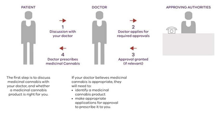 Diagram of the approval process for obtaining medicinal cannabis as a member of the public.